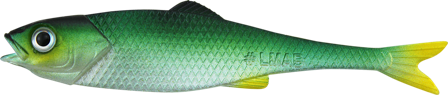 LMAB Finesse Filet 15cm 3-pack Green Shiner