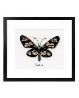 Bild Orangener Schmetterling