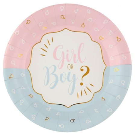 Girl Or Boy Papperstallrik 10-pack - Baby Shower Dekoration - Kalaslagret.se