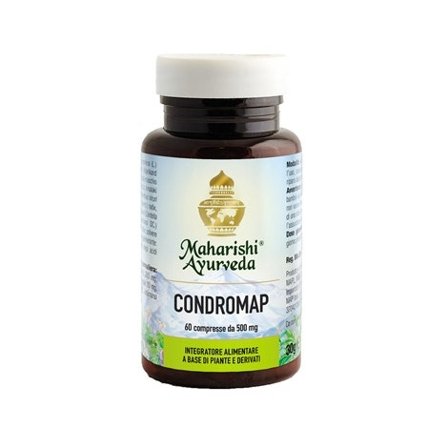 Condromap 60 Compresse