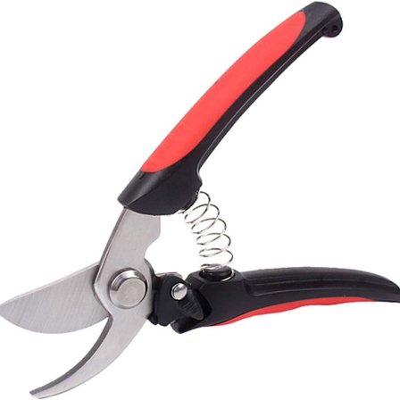 Beskærersaks bypass roser sakse have plante og blomst saks KLB