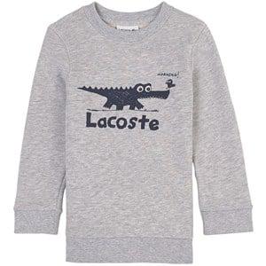 Kids - Lacoste Branded Graphic Sweatshirt Silver Chine 8 Years - Jumpers and knitwear - 8 years - Grey