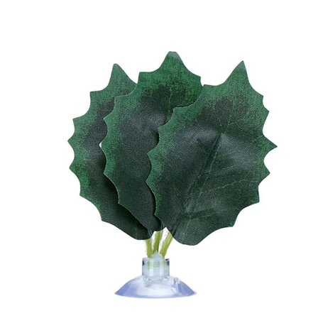 Betta Leaf Fish tank Plants I I
