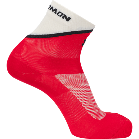 Salomon - Sokker Sokker Pulse Ankle