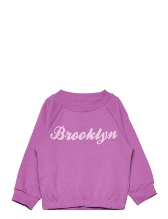 Nmfruna Ls Sweat Bru Camp Sweat-shirt Genser Lilla Name It