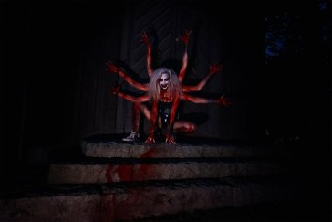 Body horror AUX ANIMAUX