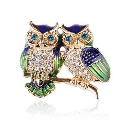 Corsage Owls Dame Brosche Malet Pin Brosche Pin Brosche