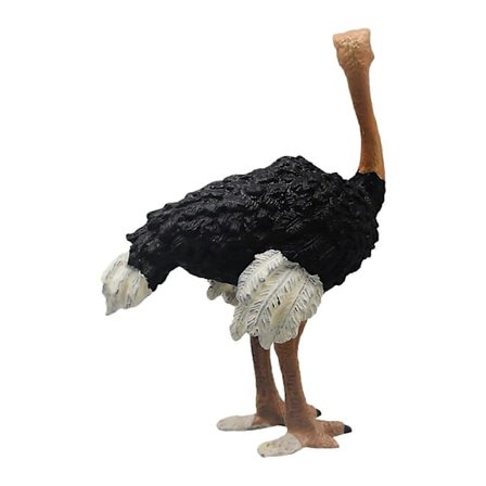 Realistiske Strudsefigurer Vilde Dyr Kongerige Samling Pædagogisk Læringslegetøj Strudsemodel Gave Voksne Børn[D]