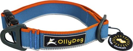 OllyDog Urban Trail Reflective Collar Air Blue