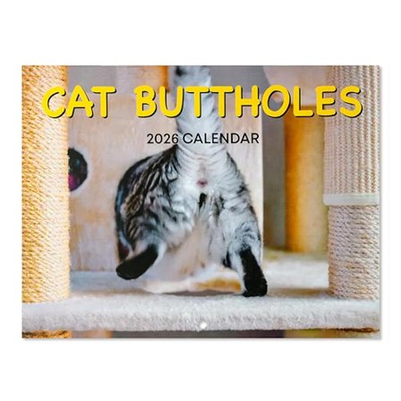 Katte Numser 2026 For Katteelskere Sjov Katte Kalender