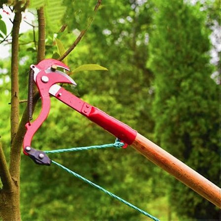 Gren Hck Hage Saks Busk Beskjæringssaks Verktøysett Tilbehør Sheers Clippers Håndklippere Kutter Høye Grensaks, Høydesaks, Grensaks