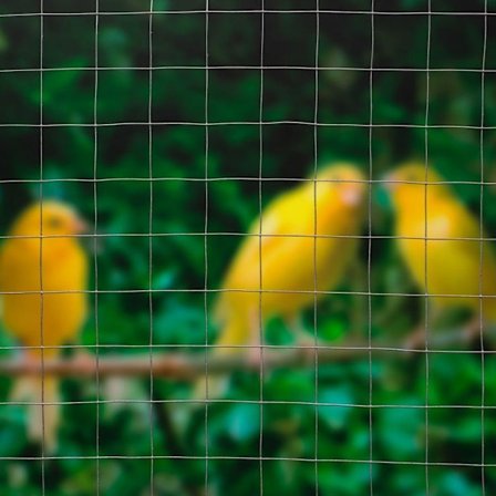 Nature Ståltrådsnät fyrkantig 0,5x5 m 13 mm galvaniserat stål