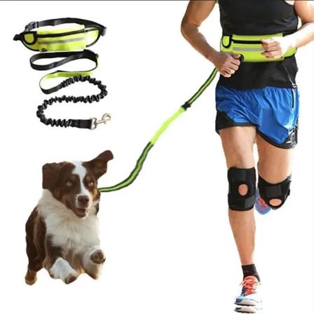 Reflekterande hundkoppel elastiskt handjogging hund dragrep löpning midjeväska 01-blå