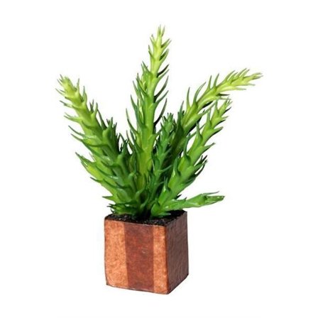 Växt Konstgjord mini Kub Cult Design