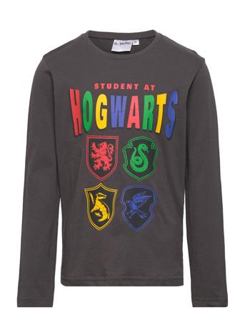 Long-Sleeved T-Shirt Tops T-shirts Long-sleeved T-shirts Grey Harry Potter