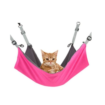 Katt Hengekøye Huske Seng Valp Hengende Seng Køyeseng Vann