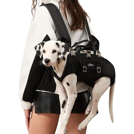 Koiran reppu – Ergonominen koiran kantolaukku (4–8 kg) vaakasuoralla muotoilulla ja säädettävillä hihnoilla_TF_TF