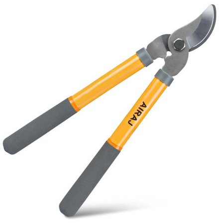 Beskärning Skärning Trädgård Verktyg Arbetskraft Spara Sax Trädgårdsskötsel Växt Skärp Gren Beskärare