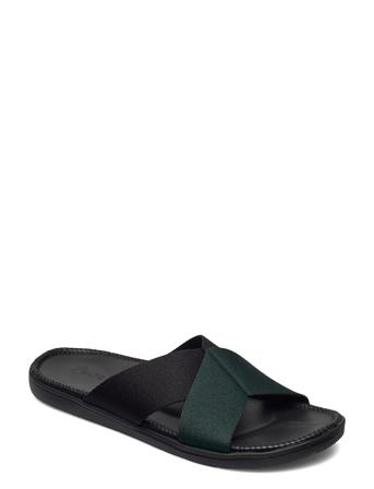 Lavandou Black Lovelies