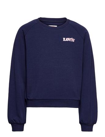 Lvg Benchwarmer Crew Sweatshrt Sweat-shirt Genser Blå Levi's
