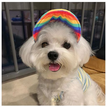 Størrelse M Hund Caps Baseball Kjæledyr Sportshatt Solhatt Justerbar Canvas Hatt for Sommer Utendørs Sport Reise