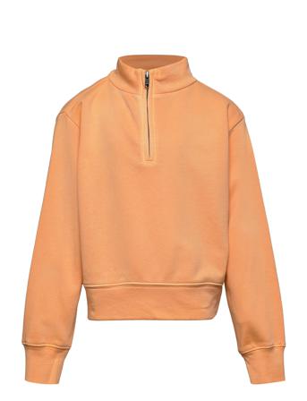 V-Feb Great Sweats 1/4 Orange GAP