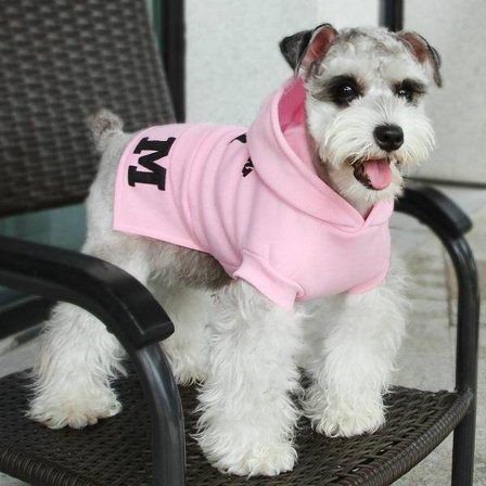 Hoodie Modern M Hundtröja för hunden