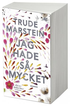 Jag hade så mycket - Bok av Trude Marstein - Pocket