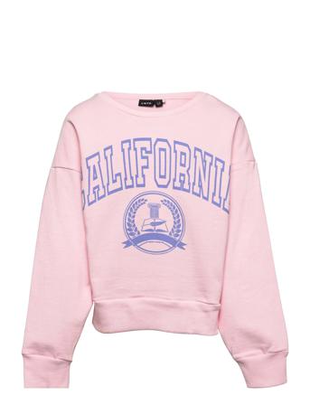 Nlfdollege Ls Short Sweat Sweat-shirt Genser Rosa LMTD