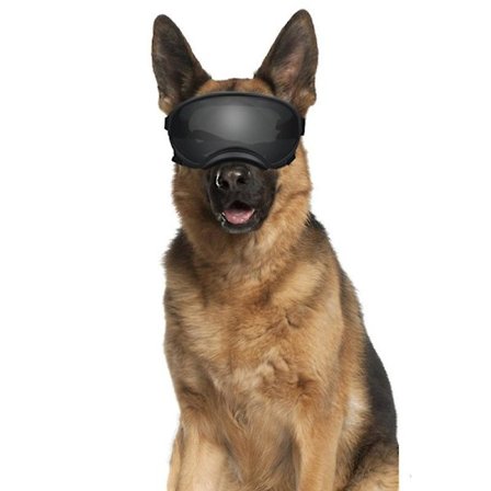 Solglasögon för Mellanstora till Stora Hundar, UV-skydd, Vindskydd