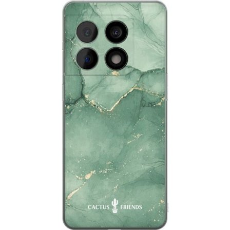 Yhteensopiva Puhelinkuori OnePlus OnePlus 10 Pro Cactus and Friends – JadeVeins