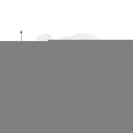 Pels marsvin plys bamse capybara dyr legetøj berolige bamse fødselsdag gave 18cm(Hvid 18cm)