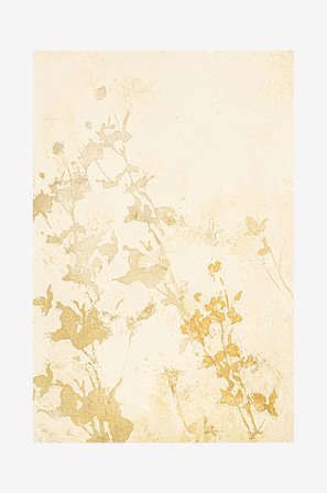 Malerifabrikken - Poster Pure Nature 1 - Gul - Postere - Fra Homeroom