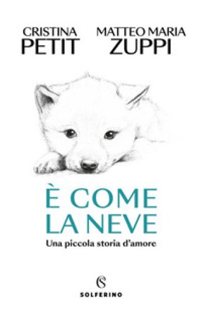 È come la neve Matteo Maria Zuppi