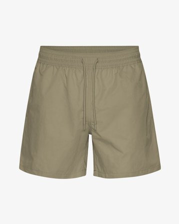 Classic Swim Shorts - Dusty Olive - Male - 2XL