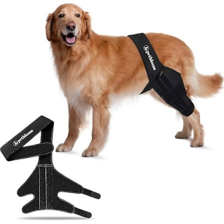 Koiran polvituki ACL:n repeämille, lonkkadysplasiaan, niveltulehduskivun lievitykseen, nivelrikkoon ja nivelsidevammoihin, säädettävä neopreenituki Fr