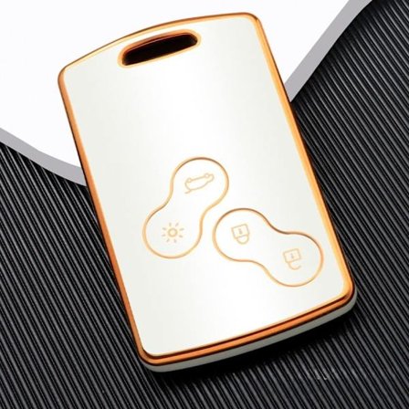 Case Case COVER