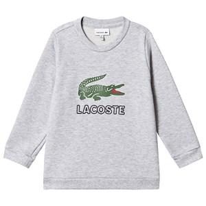 Kids - Lacoste Gray Logo Print Sweatshirt 8 years - Jumpers and knitwear - 8 years - Grey