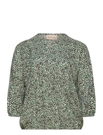 Wa-Sigga Wasabiconcept Green