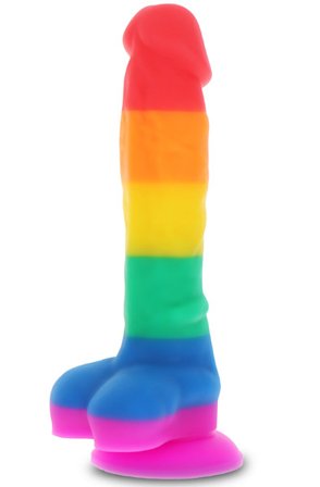 ToyJoy Regenbogenliebhaber 20,5 cm