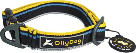 OllyDog Urban Trail Reflective Collar Anthracite