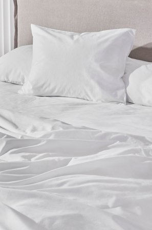 Jotex - Putevar - Økologisk Hvit - ZACK - Kjøp Putevar hos Jotex