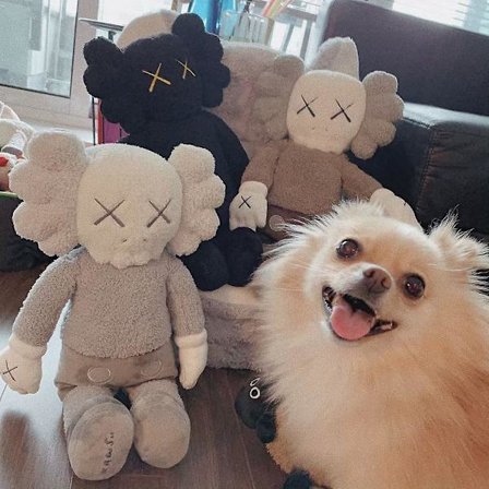 Tik Tokkaws Sesame Street Docka Ledig Trendig Märkes Plyschleksak Present Till Flickor(50cm,rosa)