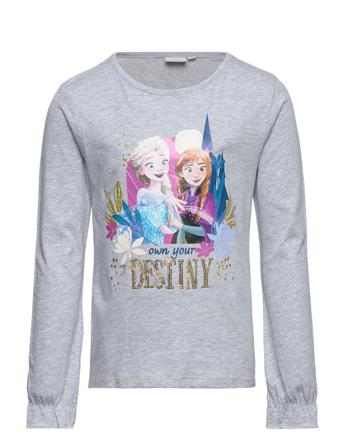 Long-Sleeved T-Shirt T-shirts Long-sleeved T-shirts Grå Frost