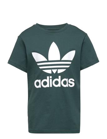 Trefoil T-Shirt T-shirts Short-sleeved Grön Adidas Originals