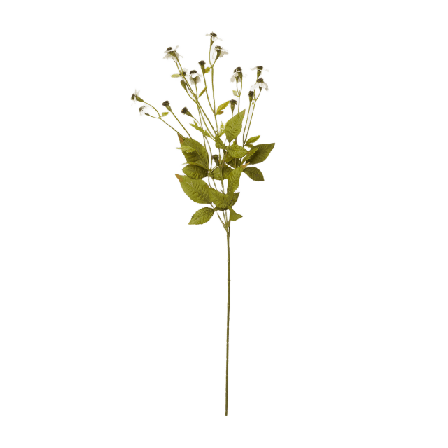 Åhléns Home Konstväxt ringblomma Blommor & växter Vit ONESIZE