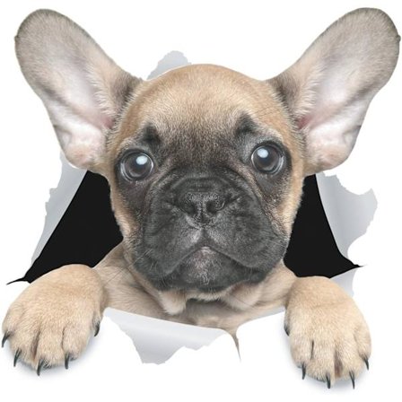 3D-veggklistremerker for hunder - Sett med 2 - Morsomme dekorative klistremerker - Søte fransk bulldog-veggklistremerker - Kjøleskap - Toalett - 