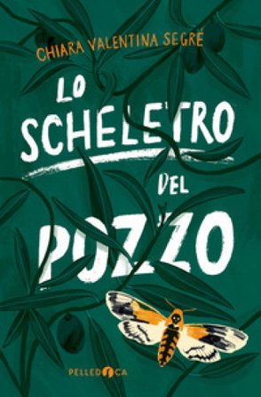 Lo scheletro del pozzo Chiara Valentina Segré