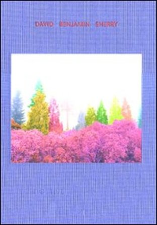 It's time. Ediz. illustrata David B. Sherry