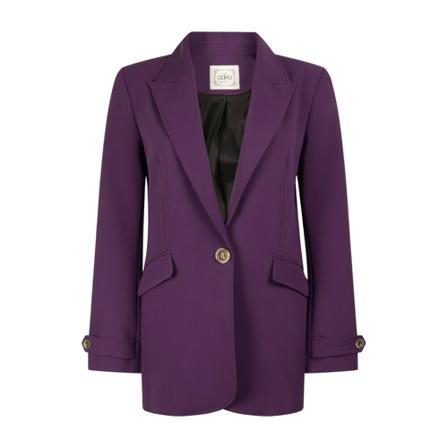 Aaiko Blazer , Paars , Dames , Maat: L